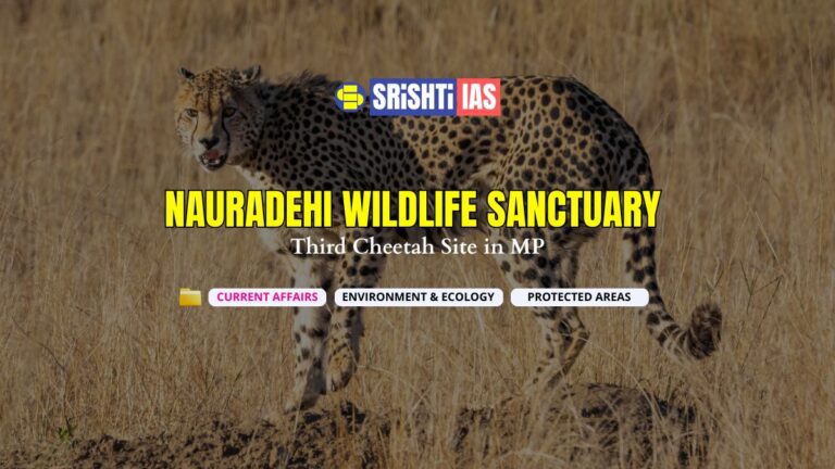 Nauradehi Wildlife Sanctuary