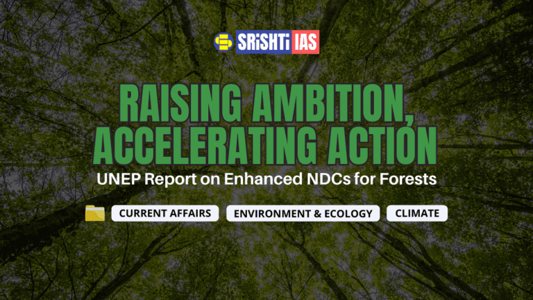 Raising Ambition, Accelerating Action: UNEP Report on Enhanced NDCs for Forests