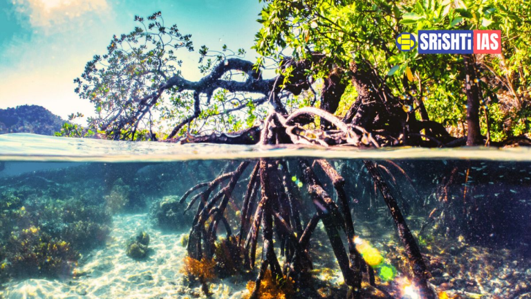 Mangrove restoration and urban wetland revival as nature-based solutions for climate resilience
