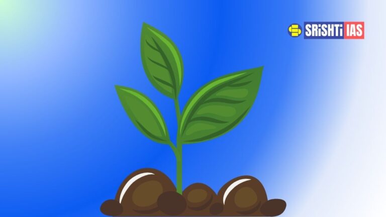 World Soil Day 2025