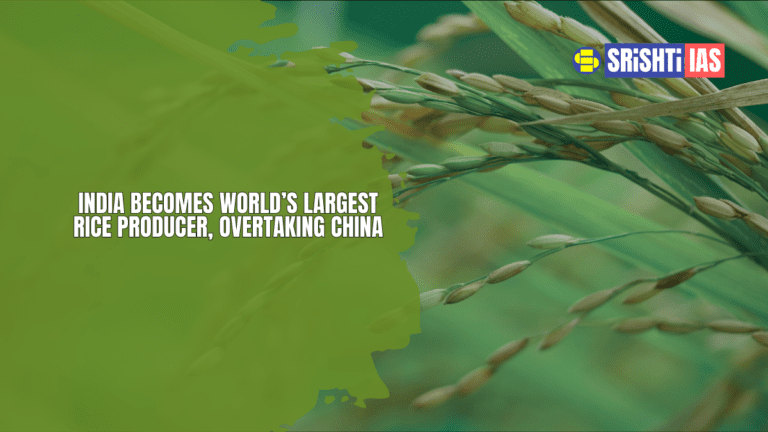 India Becomes World’s Largest Rice Producer, Overtaking China