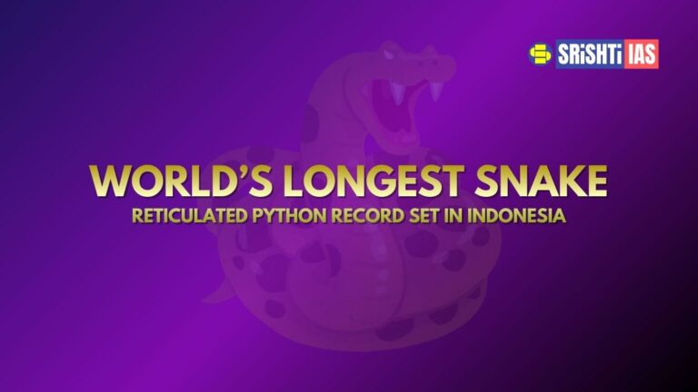 World’s Longest Snake Reticulated Python Record Set in Indonesia