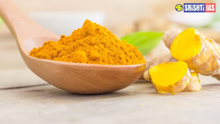 Lakadong Turmeric of Meghalaya GI-Tagged High-Curcumin Turmeric Gains Global Recognition