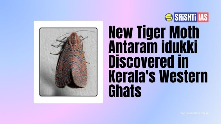 New Tiger Moth Antaram idukki Discovered in Kerala's Western Ghats