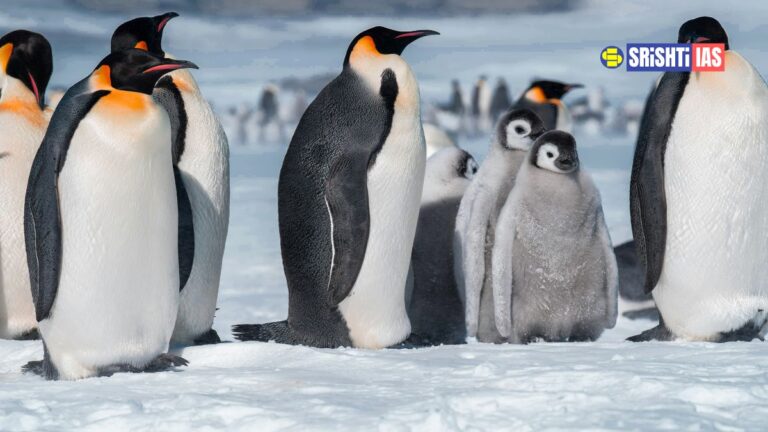 Tourism in Antarctica Balancing Exploration with Conservation