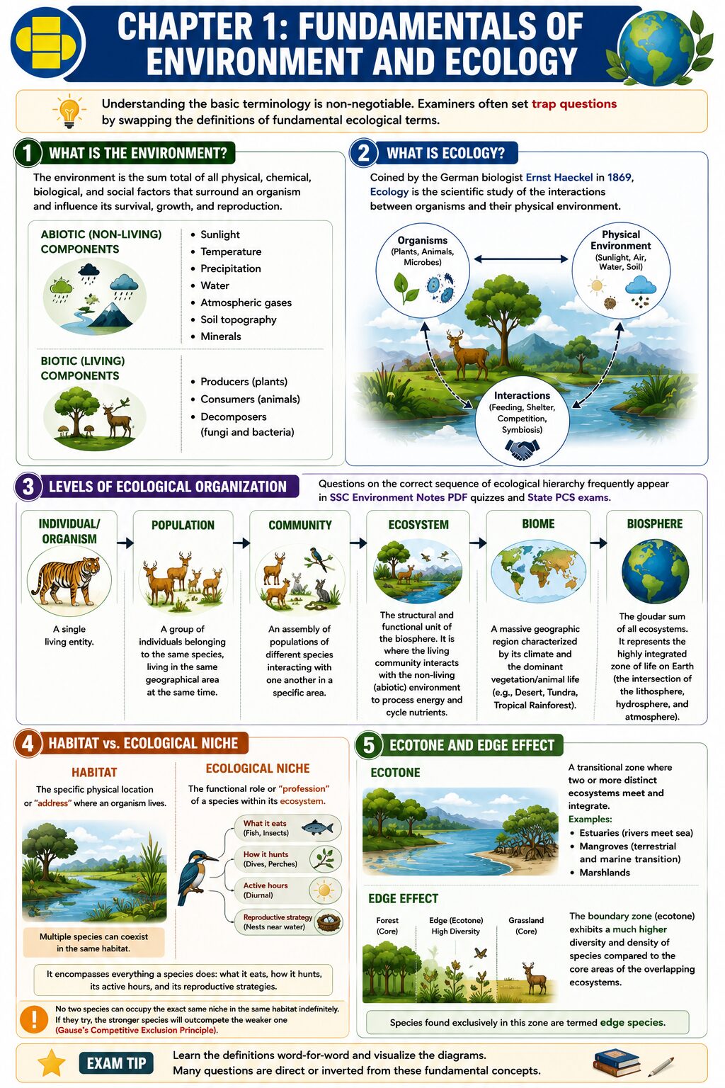 environment, ecology, components and factors infographic