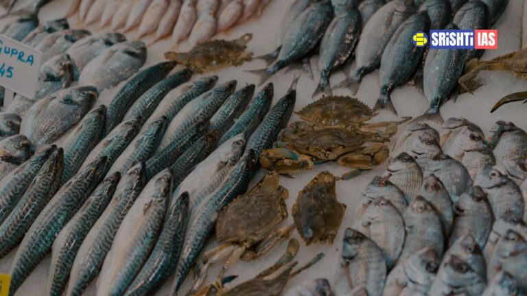 india seafood exports targets