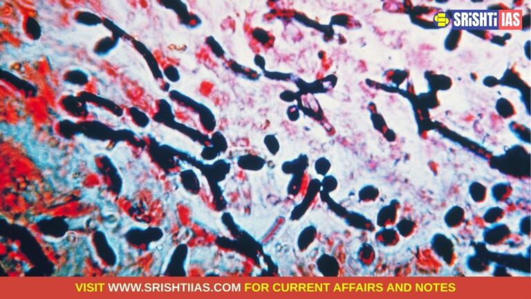 Cyclospora Outbreak 2026: Cases reported across US