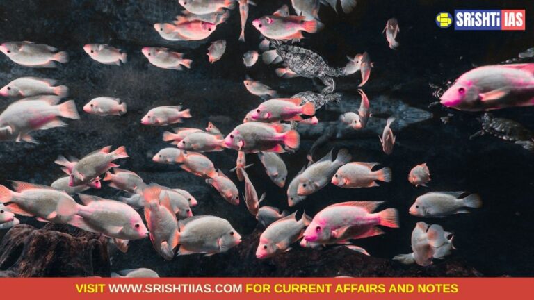 India Joins WTO Agreement on Fisheries Subsidies