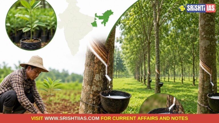 Project INROAD Expanding Natural Rubber Cultivation in North-East India
