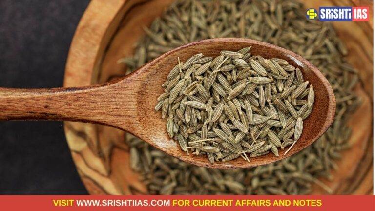 Unjha Cumin and Unjha Fennel Receive Geographical Indication (GI) Tags