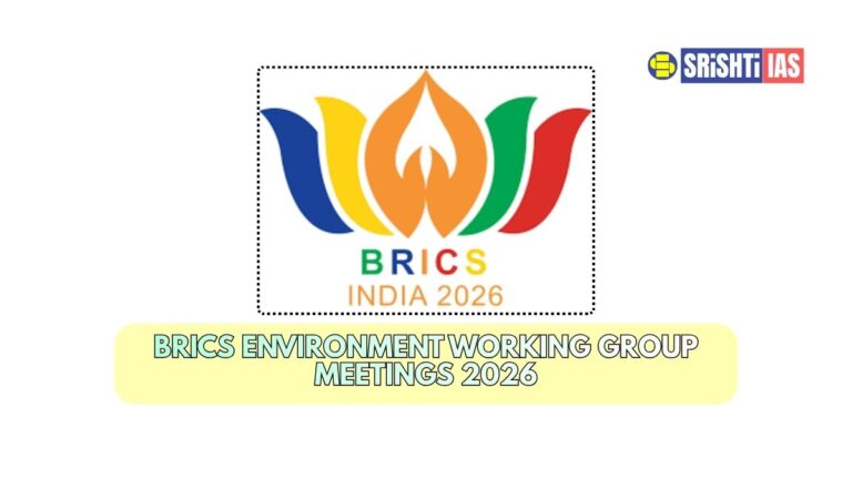BRICS Environment Working Group Meetings 2026