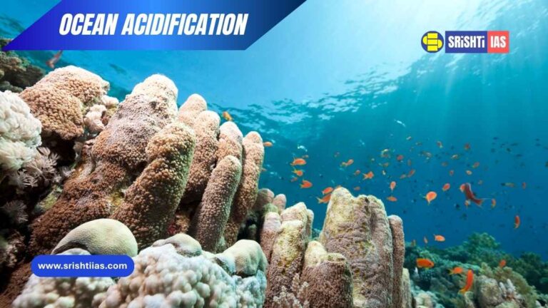 Ocean Acidification